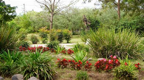  El Jardín Botánico de Kuala Lumpur: Un Oasis Verde en el Corazón de la Ciudad!