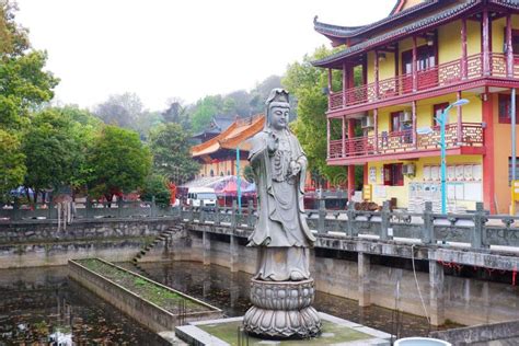 ¡Sumérgete en la Historia y la Belleza Natural del Templo de Guangji!