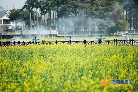  ¡El Parque de las Flores de Dongguan: Un Oasis Floral para los Amantes de la Naturaleza!