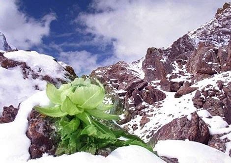  El Monasterio de Raniwahi: Una Joya Escondida en las Montañas Pakitaníes!