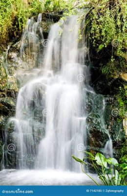 ¿Has oído hablar de la impresionante cascada del Río Tuo? Un espectáculo natural y refrescante para todos!