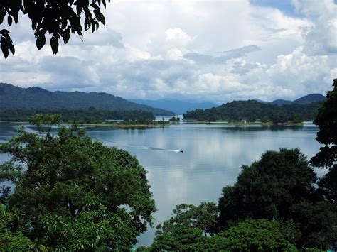  ¡El Lago Kenyir: Un paraíso natural perfecto para el kayak y la observación de la vida silvestre!